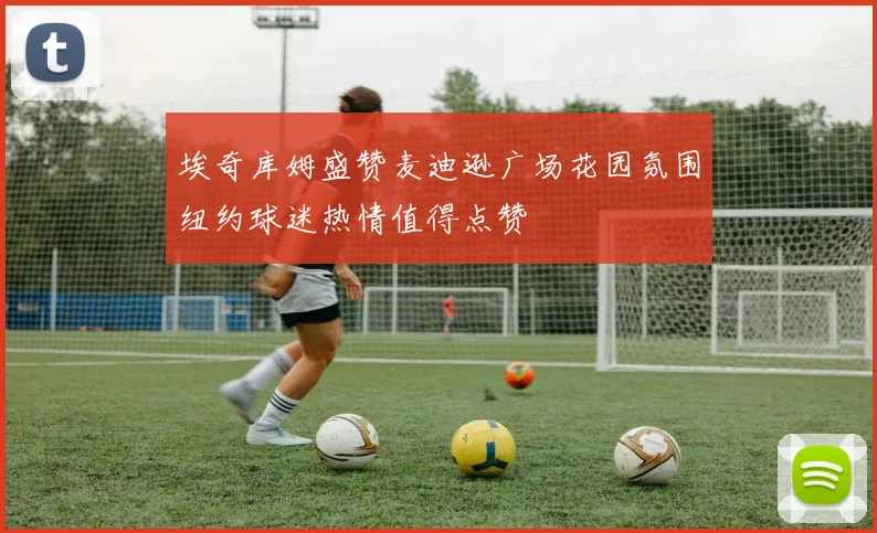 埃奇库姆盛赞麦迪逊广场花园氛围纽约球迷热情值得点赞