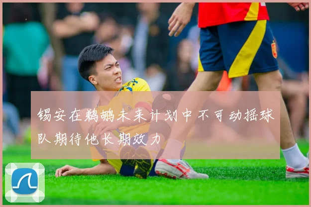 锡安在鹈鹕未来计划中不可动摇球队期待他长期效力